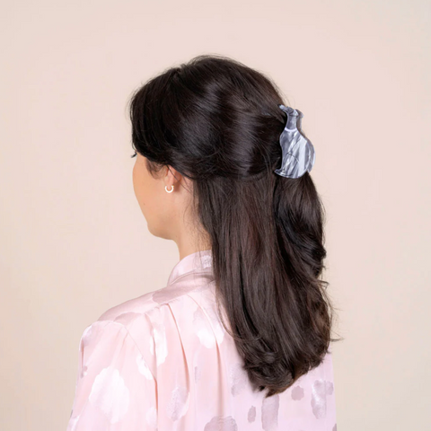 PINCE À CHEVEUX - CHIENS