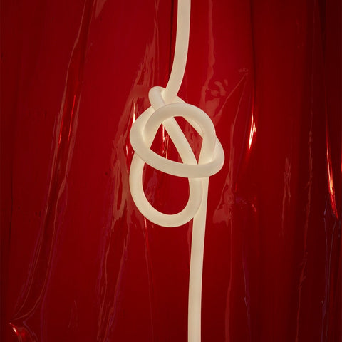 TUBE NEON LED FLEXIBLE - FLEX MOUNT