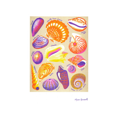 ILLUSTRATION A3 - MANON BUCCIARELLI