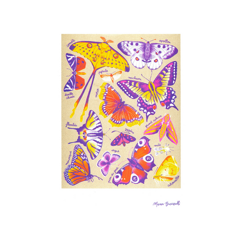 ILLUSTRATION A3 - MANON BUCCIARELLI