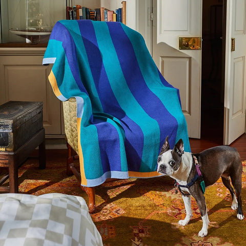 PLAID COLORÉ - TRICOT BUREN