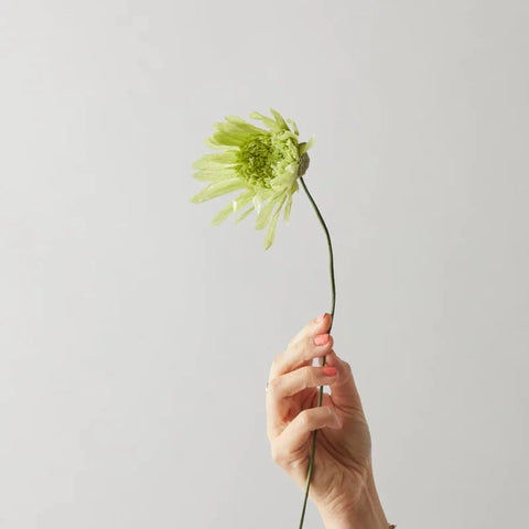 FLEUR EN PAPIER - UNITÉ
