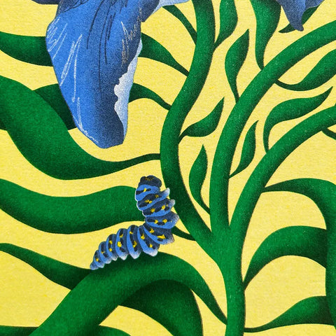 ILLUSTRATION FLORALE A3 - YOLLEMA