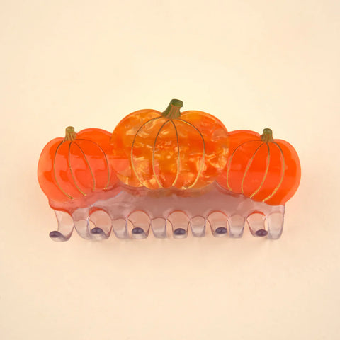 PINCE À CHEVEUX - AUTOMNE