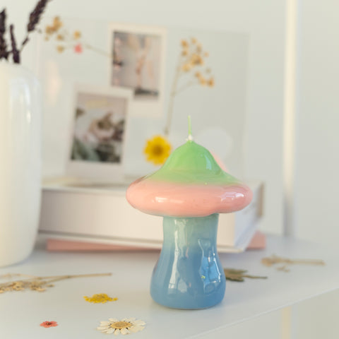 BOUGIE DEGRADE - CHAMPIGNON