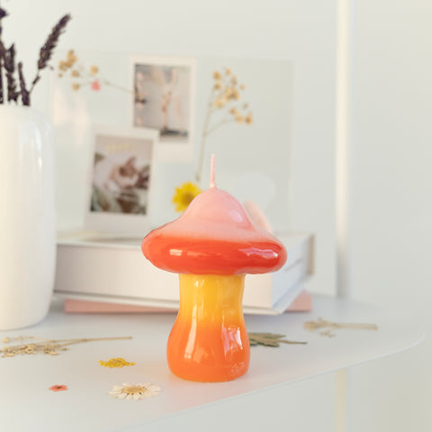 BOUGIE DEGRADE - CHAMPIGNON