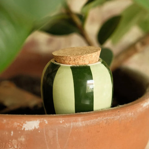 OLLA COLOREE - DIFFUSEUR D'EAU POUR PLANTES
