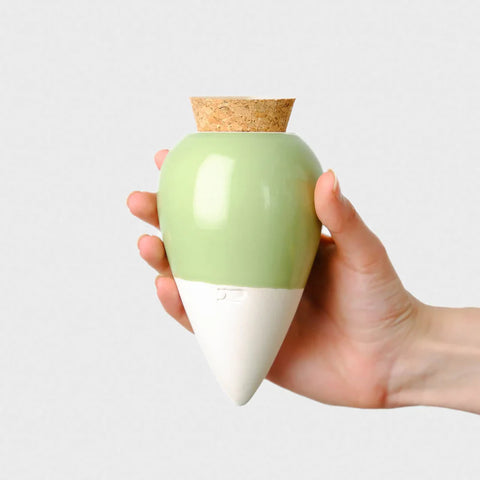 OLLA COLOREE - DIFFUSEUR D'EAU POUR PLANTES