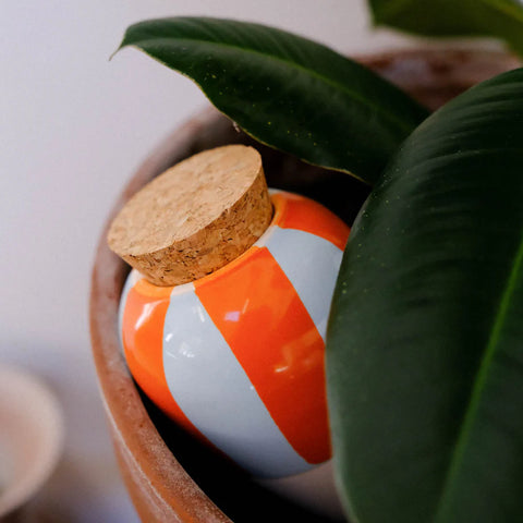 OLLA COLOREE - DIFFUSEUR D'EAU POUR PLANTES