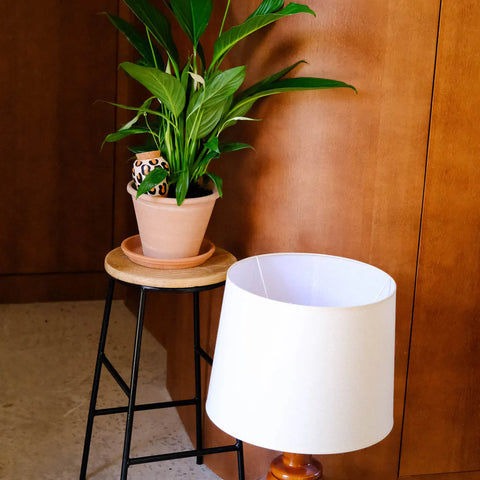 OLLA COLOREE - DIFFUSEUR D'EAU POUR PLANTES