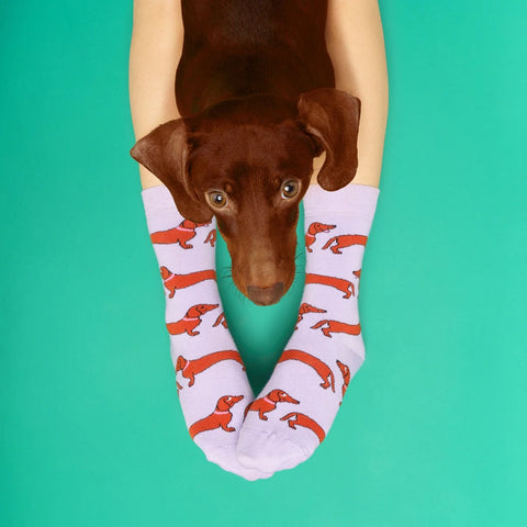 CHAUSSETTES COTON - CHIENS