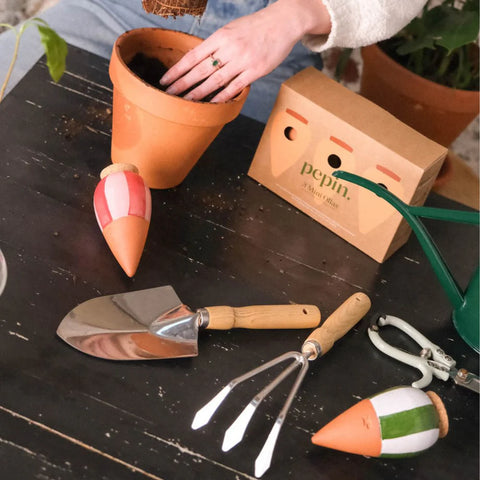 MINI OLLA COLOREE - DIFFUSEUR D'EAU POUR PLANTES (x3)