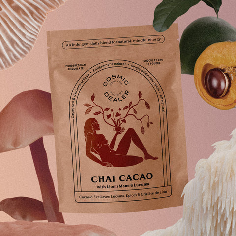 PRÉPARATION POUR CHOCOLAT CHAUD - POUDRE DE CACAO BIO