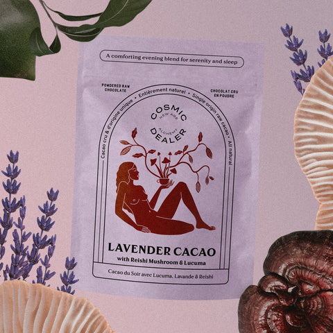 PRÉPARATION POUR CHOCOLAT CHAUD - POUDRE DE CACAO BIO