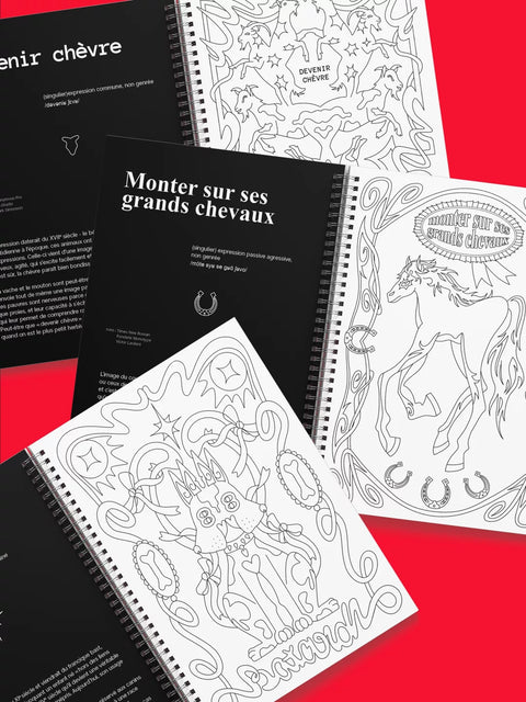 CARNET DE COLORIAGE - BESTIAIRE DES EXPRESSIONS