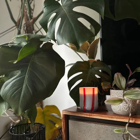 BOUGIE PARFUMÉE EN VERRE - ATINA