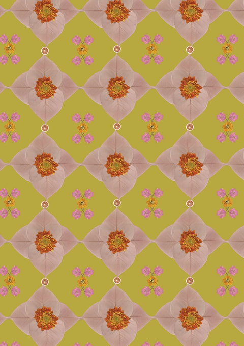PAPIER PEINT ROULEAU - FLOWER POWER