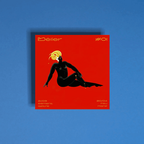 ILLUSTRATION SIGNES DU ZODIAC CARRE - YOLLEMA