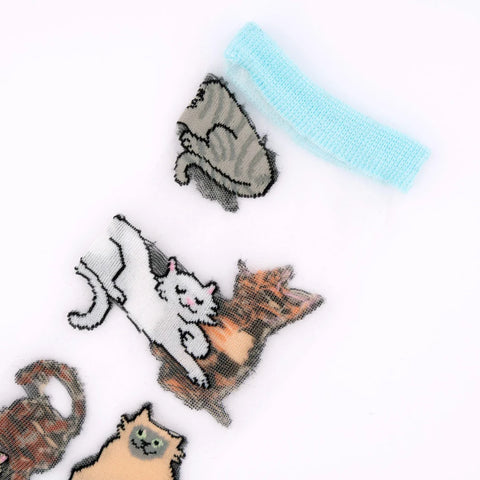 CHAUSSETTES TRANSPARENTES - CHATS