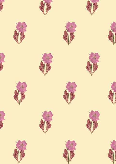 PAPIER PEINT ROULEAU - FLOWER POWER