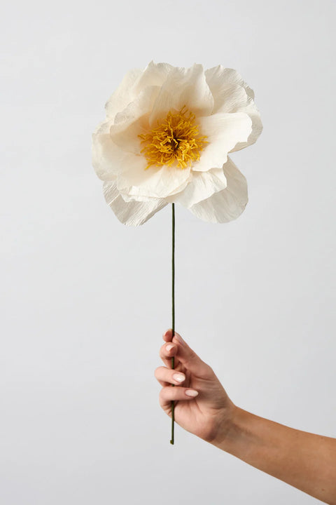 PAPER FLOWER - UNIT