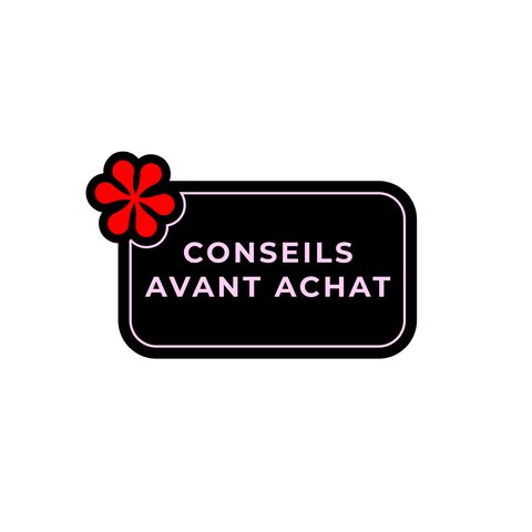 MISSION CONSEILS - visite avant achat