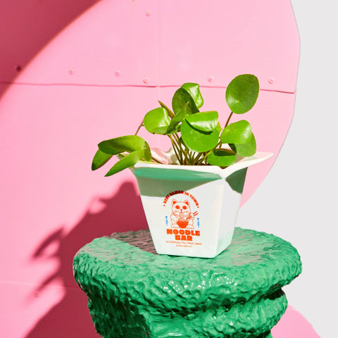 CACHE-POT CERAMIQUE - RAMEN