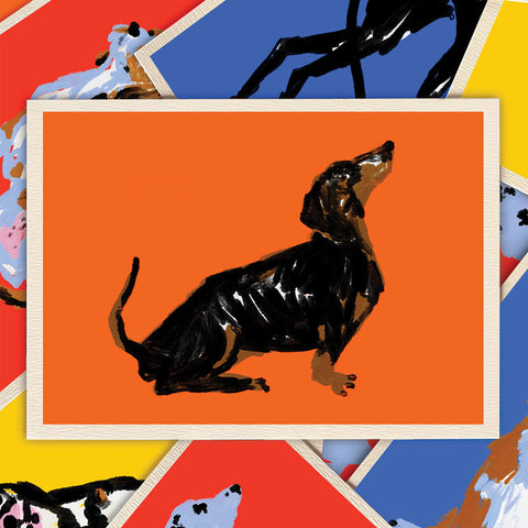 CARTE DE VOEUX - CHIEN