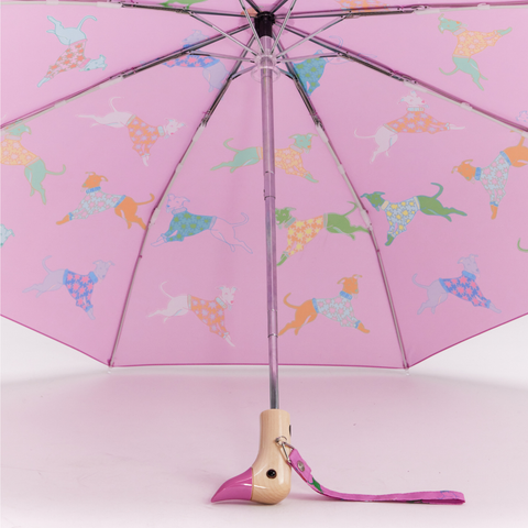 PARAPLUIE COLORÉ CANARD - MOTIFS