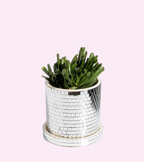 CACHE POT - MIROIRS DISCO