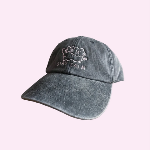 CASQUETTE BRODÉE GRISE - STAY DELULU