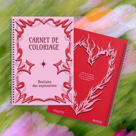 CARNET DE COLORIAGE - BESTIAIRE DES EXPRESSIONS