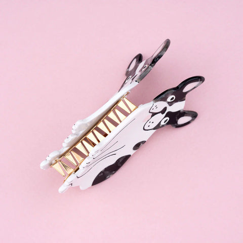 PINCE À CHEVEUX - CHIENS