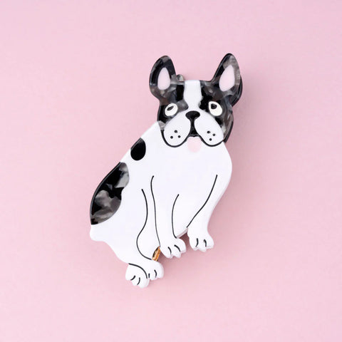 PINCE À CHEVEUX - CHIENS