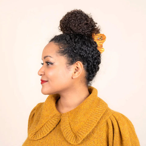 PINCE À CHEVEUX - CHIENS