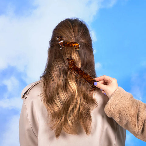 PEIGNE A CHEVEUX - TECKEL