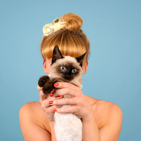 PINCE À CHEVEUX - CHATS