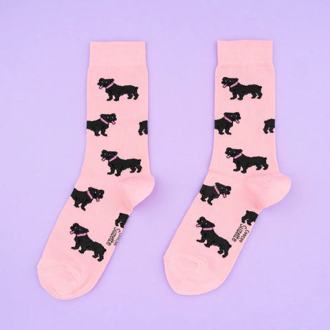 CHAUSSETTES COTON - CHIENS