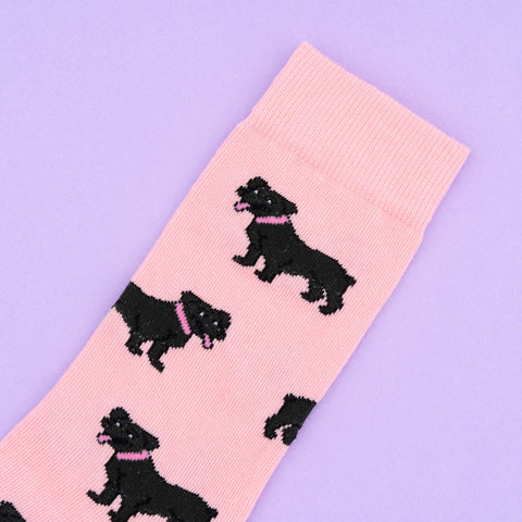 CHAUSSETTES COTON - CHIENS