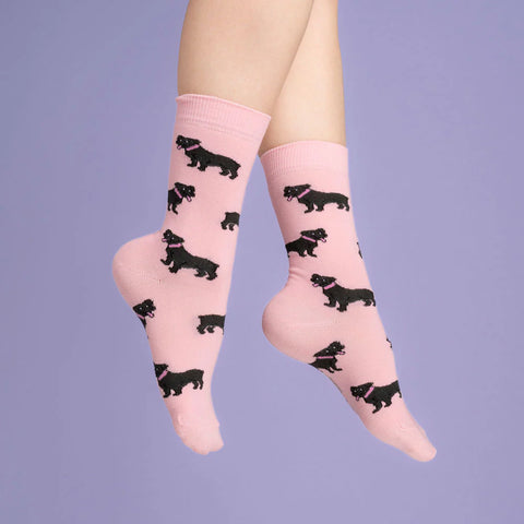 CHAUSSETTES COTON - CHIENS