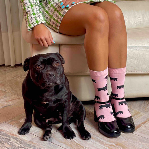 CHAUSSETTES COTON - CHIENS