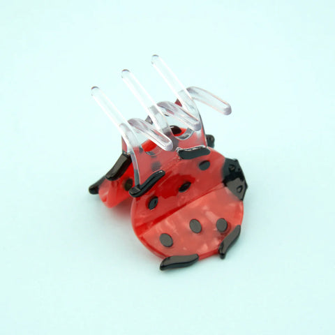 PINCE A CHEVEUX - INSECTE