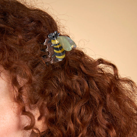 PINCE A CHEVEUX - INSECTE