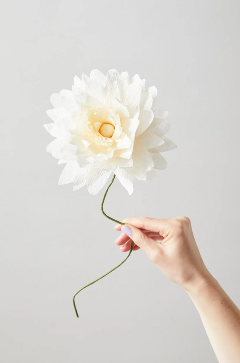 PAPER FLOWER - UNIT