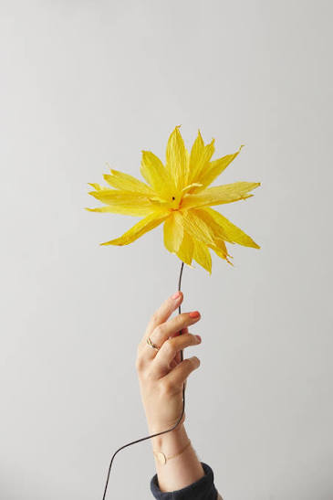 PAPER FLOWER - UNIT