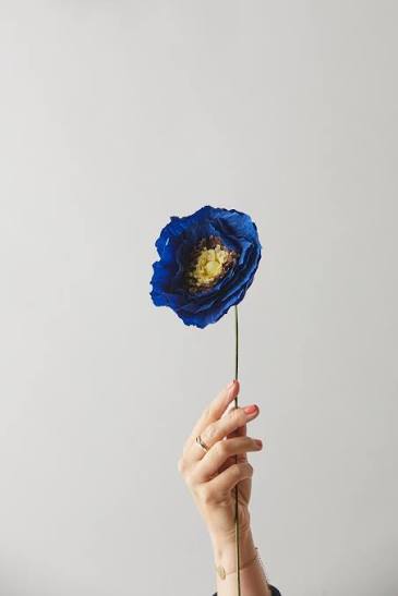PAPER FLOWER - UNIT