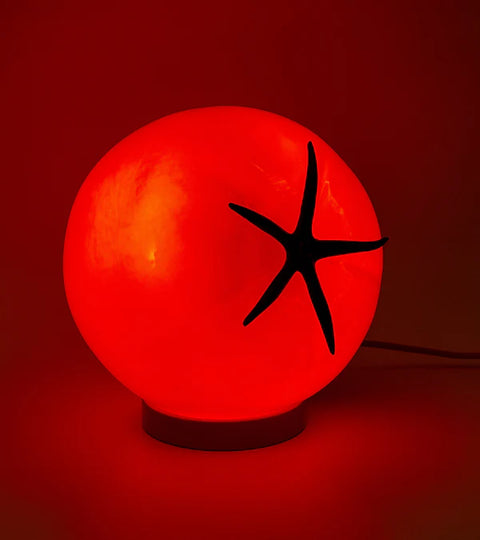 LAMPE A POSER OU SUSPENDRE - TOMATE