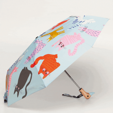 PARAPLUIE COLORÉ PLASTIQUE RECYCLÉ - MOTIFS