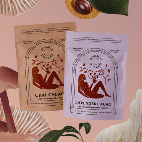 PRÉPARATION POUR CHOCOLAT CHAUD - POUDRE DE CACAO BIO