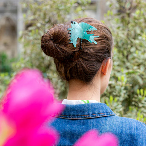 PINCE À CHEVEUX - OISEAUX